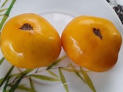 ���� ������� �����