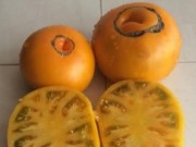 ������� ���� �����
