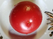 ���� ������