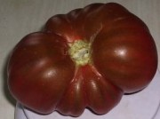 ������ 111