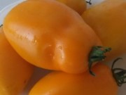 ����������� ������� ���������